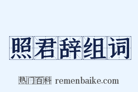 照君辞组词是什么意思的图片